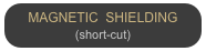 MAGNETIC  SHIELDING
(short-cut)