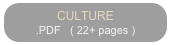 CULTURE
.PDF   ( 22+ pages )