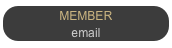 MEMBER
email