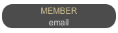 MEMBER
email