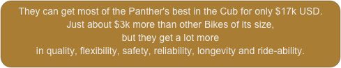 They can get most of the Panther's best in the Cub for only $17k USD.
Just about $3k more than other Bikes of its size, 
but they get a lot more
in quality, flexibility, safety, reliability, longevity and ride-ability.